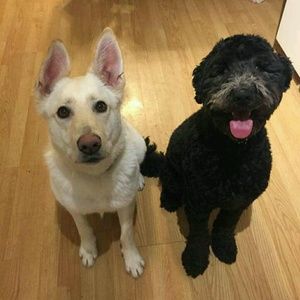 Meet your Posher, Kari